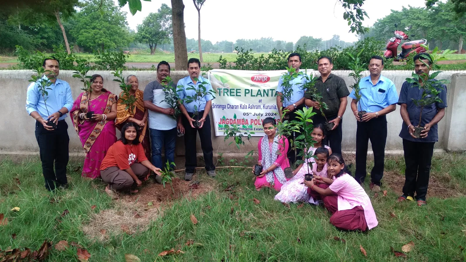 Tree Plantation