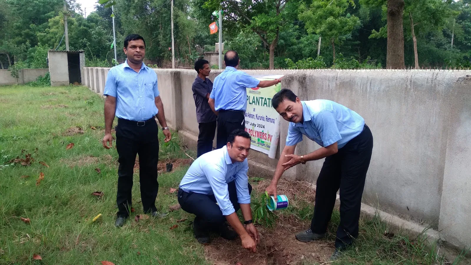 Tree Plantation