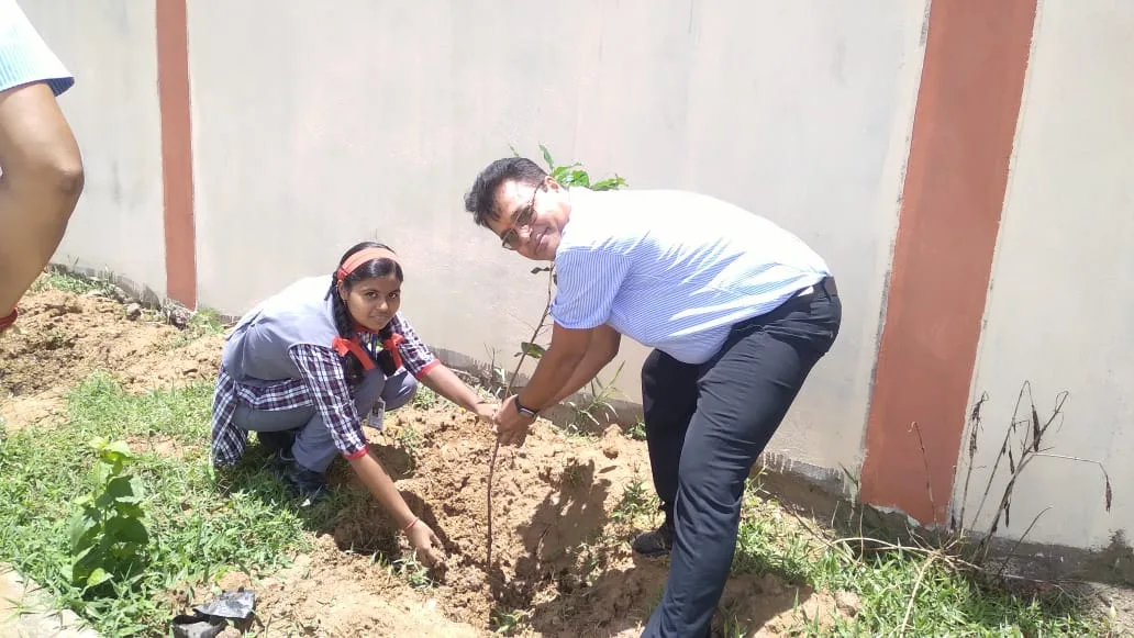 Tree Plantation