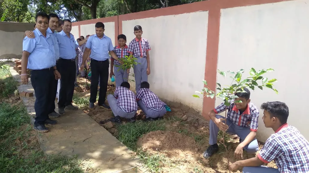 Tree Plantation