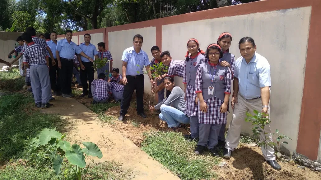 Tree Plantation